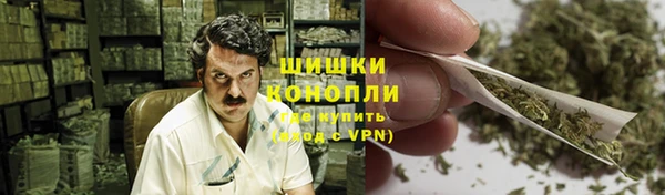 бошки Алексин