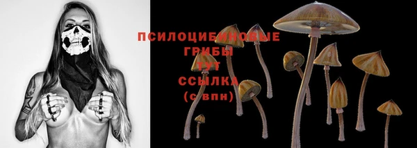 первитин Саяногорск