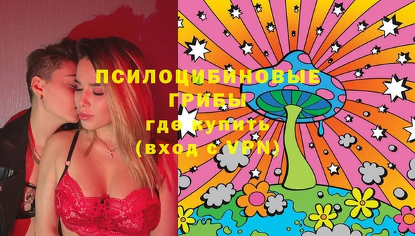 бошки Абаза