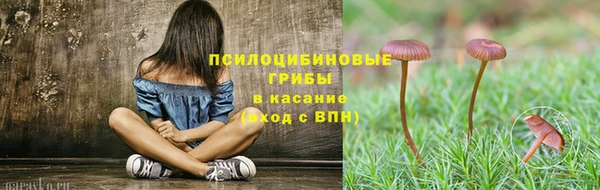 бошки Алексин