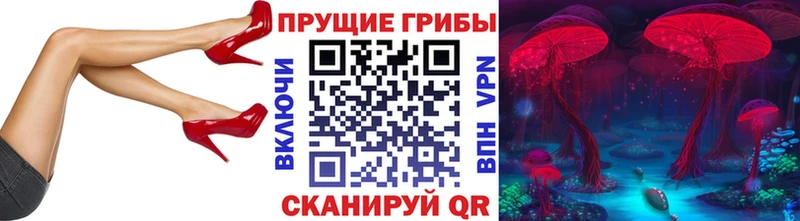 что такое Ейск дарк нет какой сайт Псилоцибиновые грибы Magic Shrooms